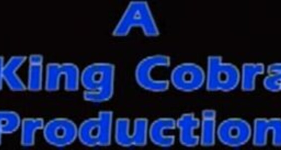 "Ethan Armstrong, Eric Matthews, Brandon Croft, Damian Stevens, Cain Tucker, Kevin Briggs, David Braun, Adam White, Travis Brenner, Gavin Davis" Cumshot, Oral, Masturbation, Threesome, Bareback, Fratboy, Twinks, Solo Campus Boyz 3 Cobra Video