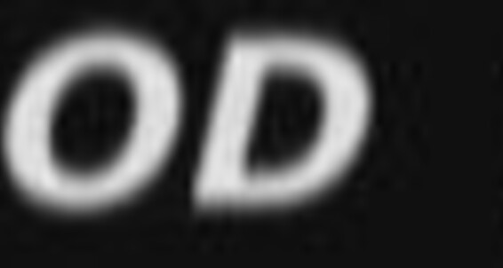 "Jack Wright , Randy Jones , Kevin Cage , Austin Rogers , Julian Veneziano , Ian Lynch , Alex Lynch , Steve Hunt , Rugerio Mateo , Tim Black , Ewan Rochelle" Facial Cumshots, Oral Sex, Anal Sex, Jocks, GAY Bareback, Uncut Cocks, Big Loads, Solo, Twinks, O