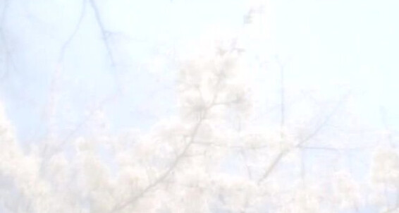 Masturbation, Handjob, Cumshots, Twinks, Blowjob, Fingering, Anal, Asian Reminiscence Of You KO Company, Pandora