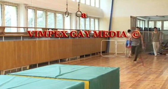 "Steve Horak, Patrik Staw, Paul Varba, Carlos Placeno, Justin Phoeni, Marc Sandor, David Gary, Justin Holak, Marco Bill, Mario Cooper, Peter Busek et Philipe Rope." Sucking, Big Balls, Big Cocks, Group, Bareback, Cumshot, Twinks, Anal Bare Champions Vimpe