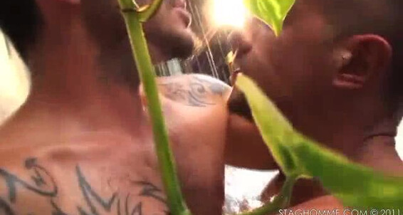 "Adrian Toledo, Manuel Lopez, Biktor Vossou, Damien Crosse, David Dirdam, Eliad Anastos, Francesco D'Macho, Goran, Jean Franko, Johnny Hazzard" Big Dick, Hunks, Hairy, Muscle, Rimming, Cumshot, Oral Madrid Bulls Stag Homme Studios, Raging Stallion Studios