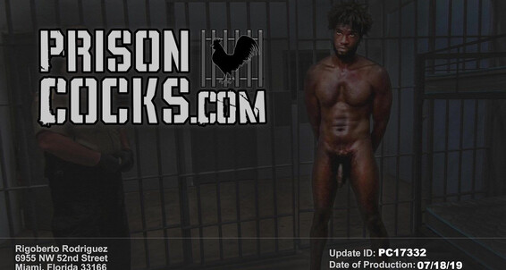 Adonis Couverture and Johnny V's hot interracial sex tape: Body Cavity Search