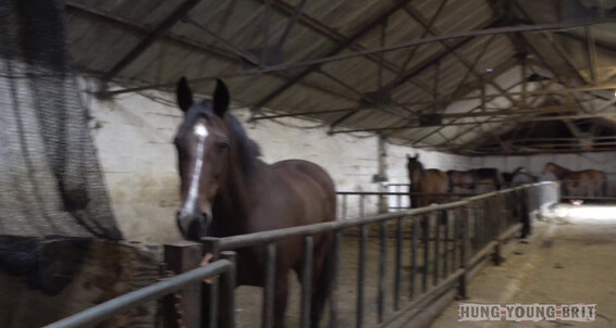 Bareback, Rimming, Cumshots, Anal Sex, Blowjob, Twinks, Facial Reece & Josh BB Tag team n Creampie Hot lads hole on farm Gay SiteRip