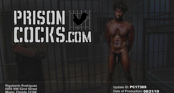 Bareback, Interracial Sex, Blowjob, Uncut, Hairy, Uniform, Anal Sex, Rimming, Muscles, Big Dick, Masturbation, Black, Dildo, POV, Fetish, Cum In Mouth Contraband Cock Check Gay SiteRip