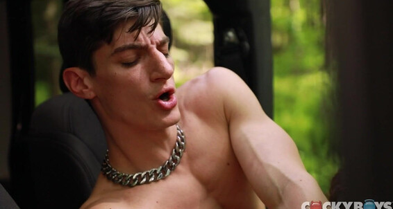 Facial, Anal Sex, Masturbation, Outdoors, Cumshots, Big Dick, Kissing, Bareback, Blowjob, Rimming, Tattoos, Muscles, Fingering Aiden Ward & Greyson Myles Gay SiteRip