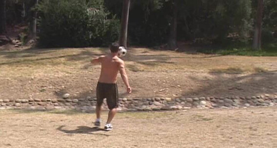 Seancody Sc Damien