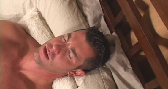 Seancody Sc Glen