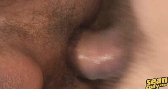 Seancody Sc Sebastien Boyd