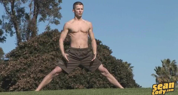 Seancody Sc Harley