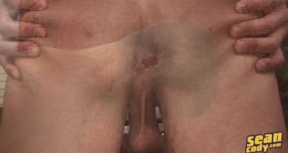 Seancody Sc Shey