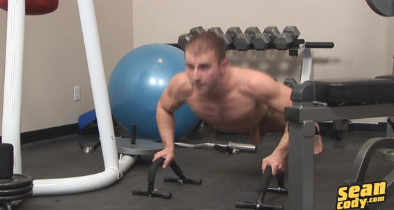 Seancody Sc Stan