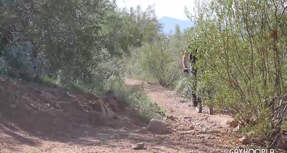 Gayhoopla Gh Tommy Dovas Bmx Cum Video