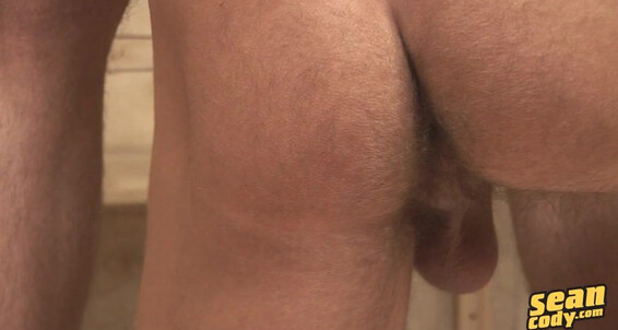 Seancody Sc Blowing Todd