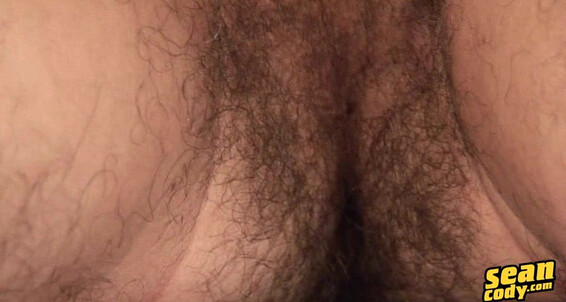 Seancody Sc Daniel