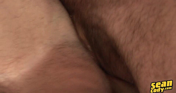 Seancody Sc Heath Dennis