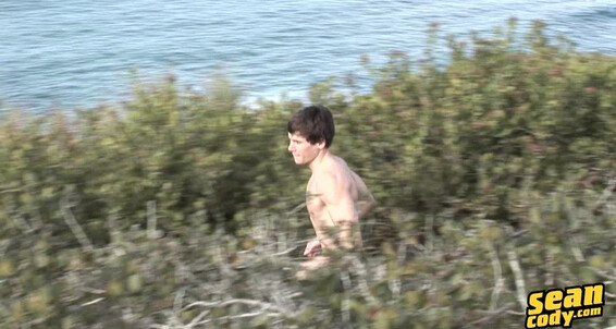 Seancody Sc Mark