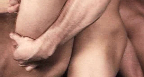 Randyblue Alley Cats