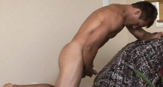 Randyblue Brent