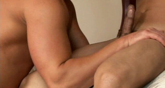 Randyblue Cody Springs Rocky
