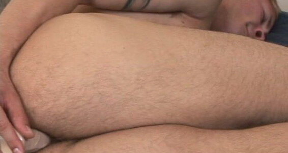 Randyblue Cole With Toy