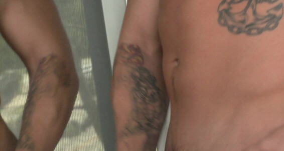 Randyblue Forest Winters