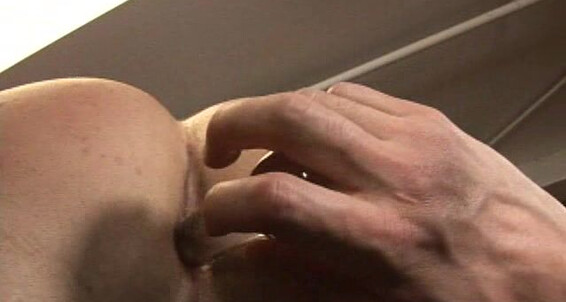 Randyblue Jeremy Walker Toy