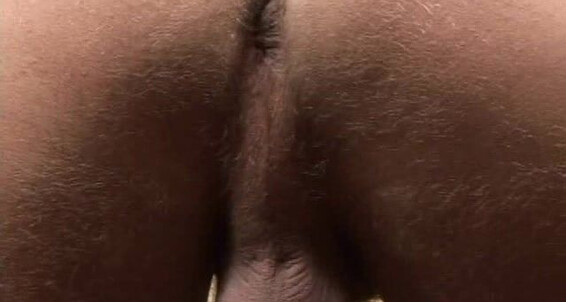 Randyblue Lucas Knowles