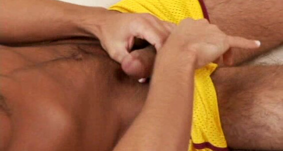 Randyblue Nick Braso Toy