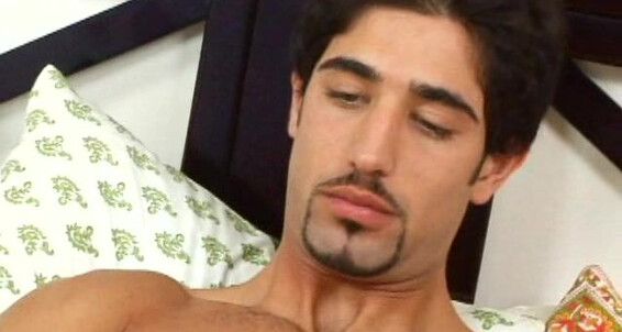Randyblue Shawn Harriri Toy