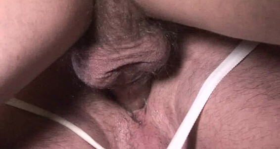 Randyblue The Coach