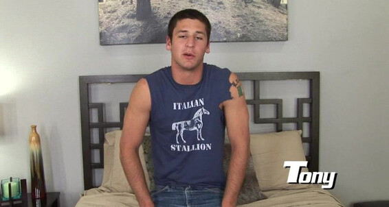 Randyblue Tony Dimino Toy