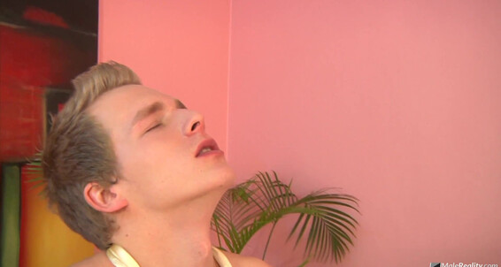 Malereality Mr Office Twinks Scene David Gold Nick Daniels