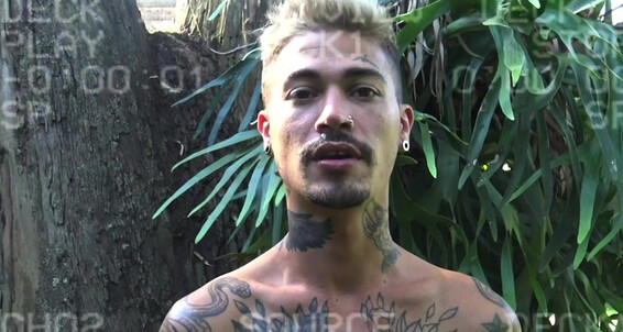 Latinleche Numero Abe P