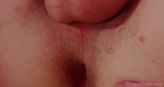 Cum Eating Bi Curious Boy Treats Himself Dennis Hatley
